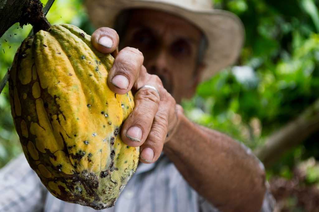 aposentadoria rural